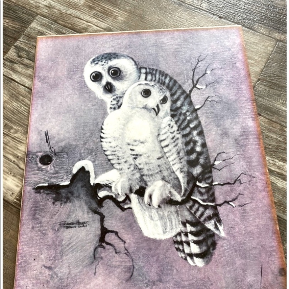 Vintage “Snowy Owls” Print -  by Artist Richard Hinger